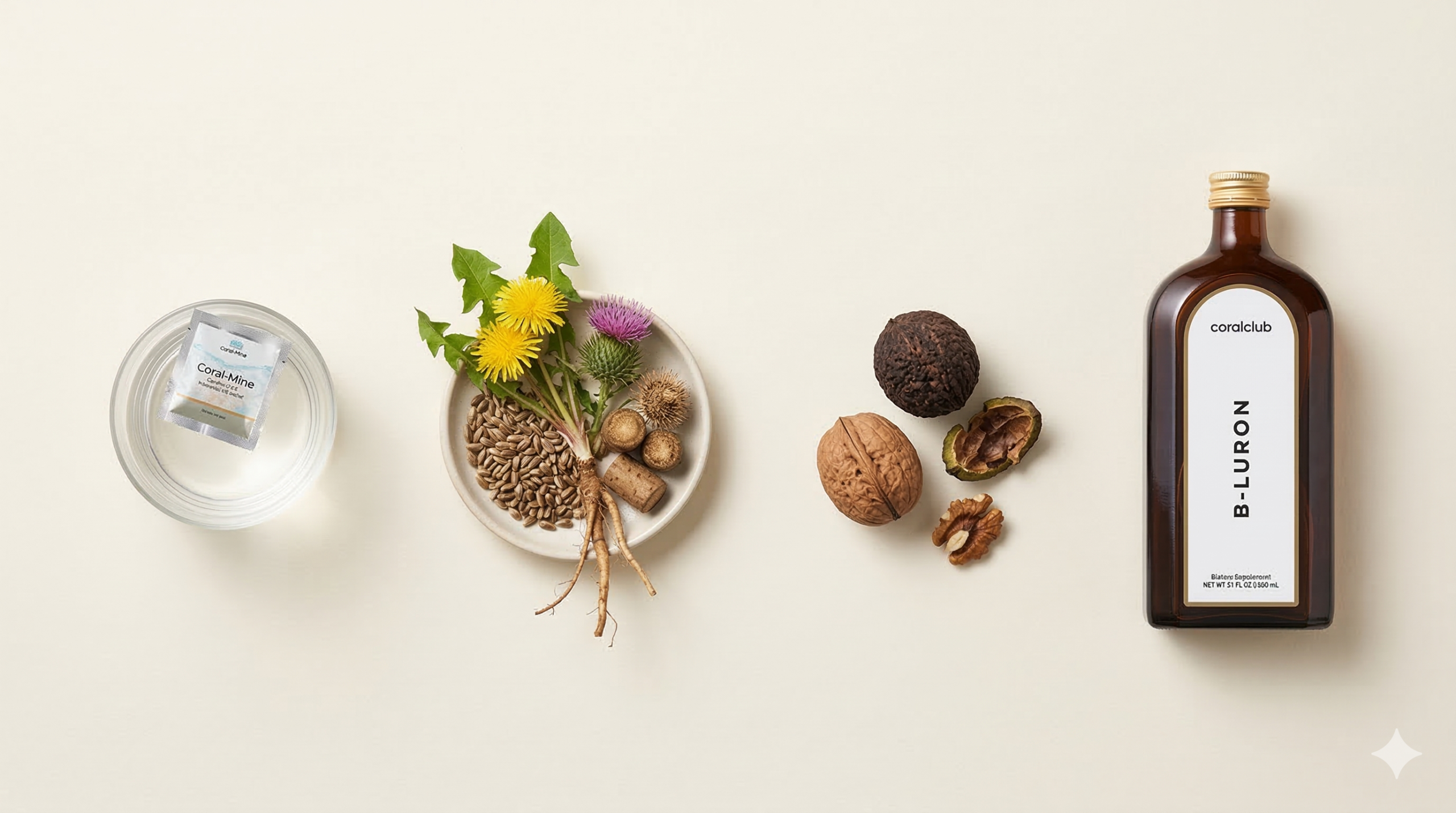 Koncept 4 korakov do zdravja