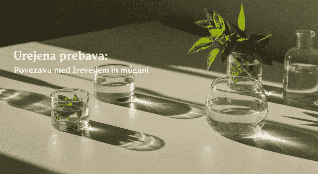 črevesno možganska povezava