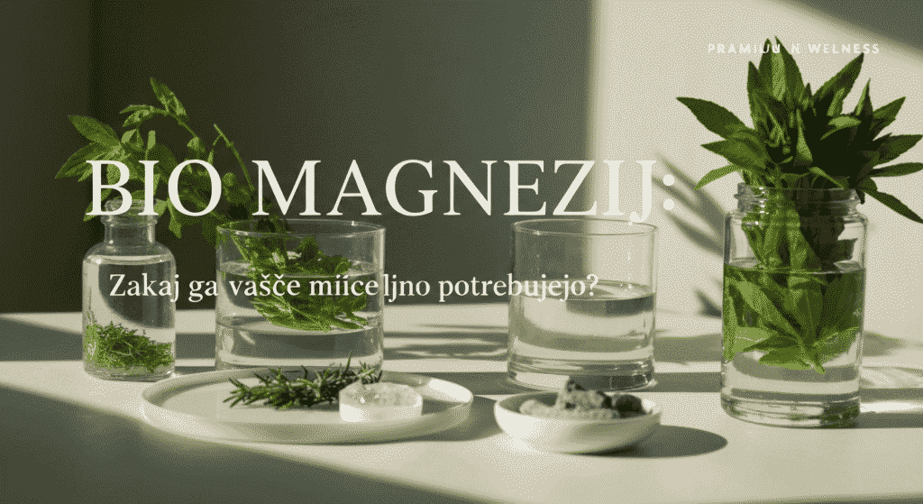 magnezij mišicam