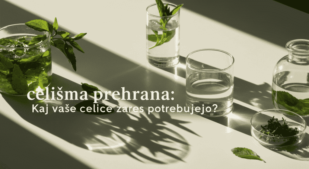 kaj celice potrebujejo
