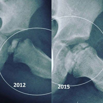 B-Luron: Neverjetna rešitev za vaše sklepe!