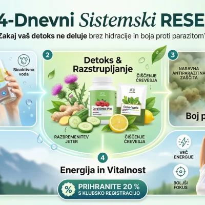 nfografika za 14-dnevni sistemski RESET hidracija, detoksikacija, boj proti parazitom in vitalnost celic